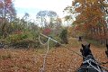 IMG_1320_edited-1