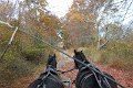 IMG_1322_edited-1