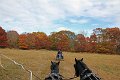 IMG_1328_edited-1