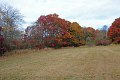 IMG_1329_edited-1