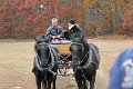 IMG_1335_edited-1