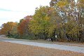 IMG_1346_edited-1