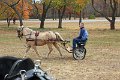 IMG_1352_edited-1