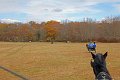 IMG_1356_edited-1