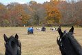 IMG_1358_edited-1