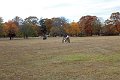 IMG_1363_edited-1