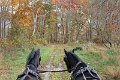 IMG_1367_edited-1