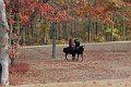 IMG_1390_edited-1