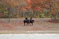 IMG_1393_edited-1