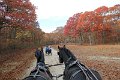 IMG_1398_edited-1