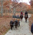 IMG_1400_edited-1