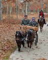 IMG_1402_edited-1