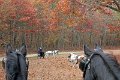 IMG_1411_edited-1