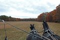 IMG_1420_edited-1