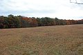 IMG_1424_edited-1