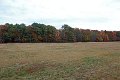 IMG_1429_edited-1