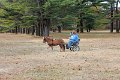IMG_1433_edited-1
