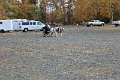 IMG_1437_edited-1