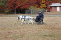 IMG_1438_edited-1