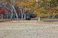 IMG_1441_edited-1