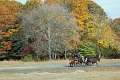 IMG_1445_edited-1
