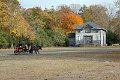 IMG_1447_edited-1
