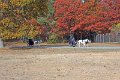 IMG_1448_edited-1