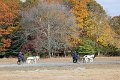 IMG_1449_edited-1