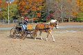 IMG_1460_edited-1