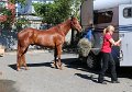 IMG_0116