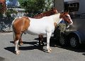 IMG_0119