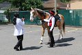 IMG_0159