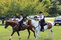 IMG_0381