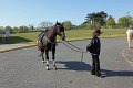 IMG_9646_edited-1