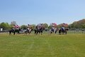 IMG_9757_edited-1