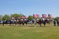IMG_9762_edited-1
