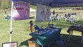 100_0242_edited-1