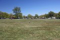 IMG_0098_edited-1