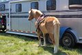 IMG_0108_edited-1