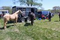 IMG_0114_edited-1