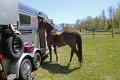 IMG_0115_edited-1