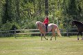 IMG_0117_edited-1
