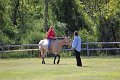 IMG_0120_edited-1
