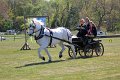 IMG_0122_edited-1