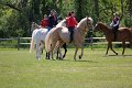 IMG_0125_edited-1
