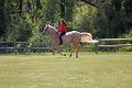 IMG_0133_edited-1