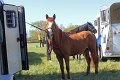 IMG_9771_edited-1