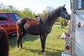 IMG_9772_edited-1