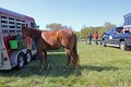 IMG_9774_edited-1