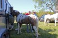 IMG_9775_edited-1